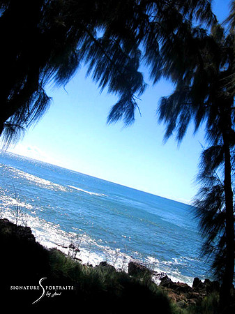 The View