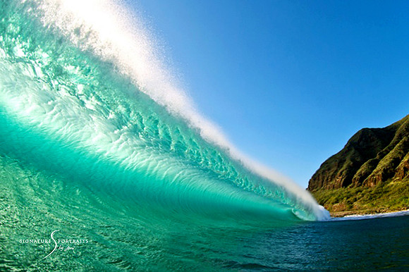 The wave