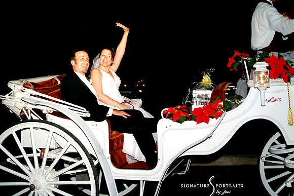 Horse and Carriage Wedding